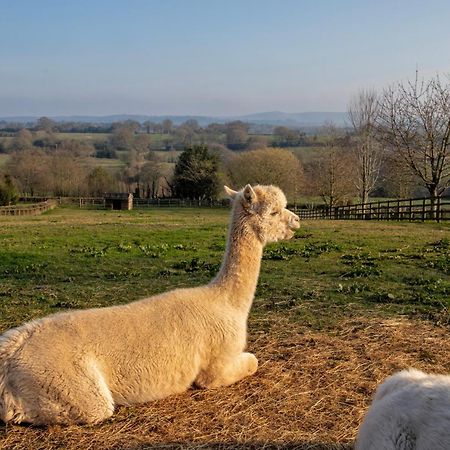 Charlie'S Cottage With Alpacas And 7Mins Drive To Alton Towers Denstone Exteriör bild